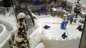 Inomhusvinterlandet från Mall of the Emirates