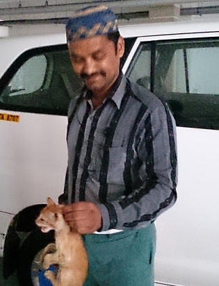 Azmad med motorkatten